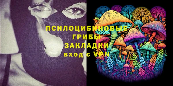 тгк Беломорск