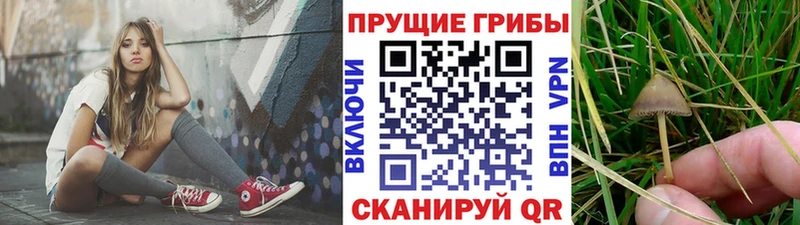 Галлюциногенные грибы мицелий  Купить где  Оса 